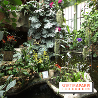 Mille & une orchidées 2014, l'exposition au Jardin des plantes