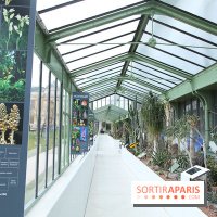 Mille & une orchidées 2014, l'exposition au Jardin des plantes