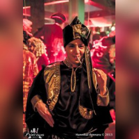 Bal des Princesses 2013