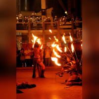 Tattoo Art Fest 2011