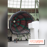 Monumenta 2014 au Grand Palais