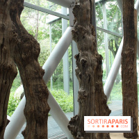 Mémoires vives Fondation Cartier