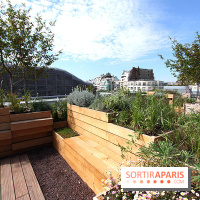 Molitor : terrasse rooftop