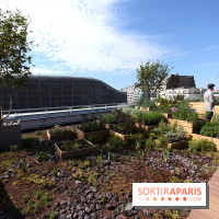 Molitor : jardins de la terrasse