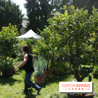 Journées de la Rose 2014