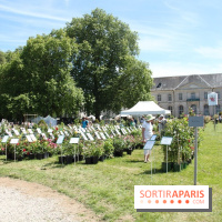 Journées de la Rose 2014