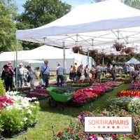 Journées de la Rose 2014