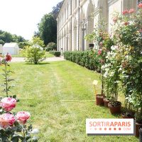 Journées de la Rose 2014