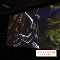 De l'ère des dinosaures à l'ère de glace au Parc des expositions de Paris