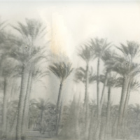 Mois de la Photo 2014