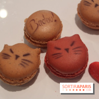 Badou Badou chez LeNôtre