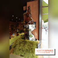 Puerto Cacao : boutique et bar à chocolat à Paris