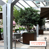 Peninsula : terrasse Kléber