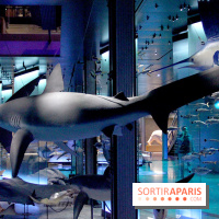 Grande Galerie de l'Evolution