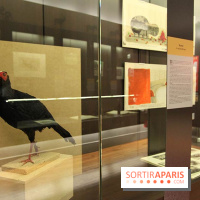 Les animaux célèbres de la Ménagerie, l'exposition