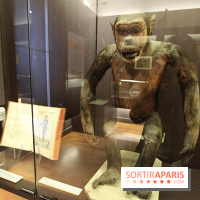 Les animaux célèbres de la Ménagerie, l'exposition