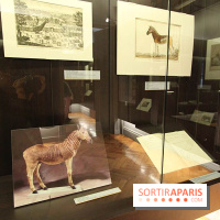 Les animaux célèbres de la Ménagerie, l'exposition
