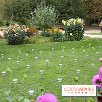 FIAC 2014 Jardin des Plantes