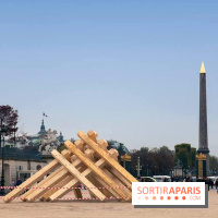 Découvrez les photos de la FIAC 2014 au Grand Palais et Hors les murs