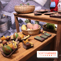 Le Salon du Chocolat 2014