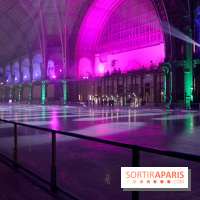 Le Grand Palais des Glaces 2014