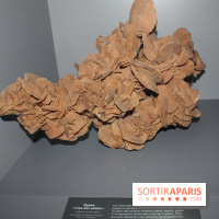 Galerie de Minéralogie du Muséum national d'Histoire naturelle