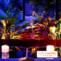 Le Très Particulier - la verrière