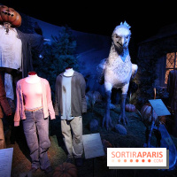 Exposition Harry Potter à Paris, Cité du Cinéma