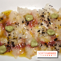 Carte du Bus Palladium