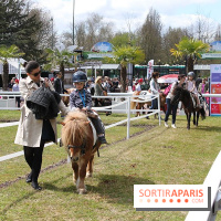 Les Dimanches au Galop 2015