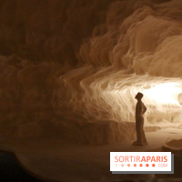 La Grotte de Lascaux à Paris !