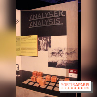 La Grotte de Lascaux à Paris !