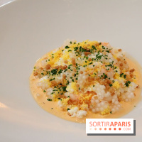 La Terrasse du Stay au Sofitel Faubourg