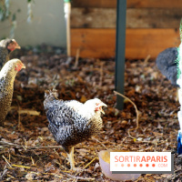 Ground Control 2015 à Paris