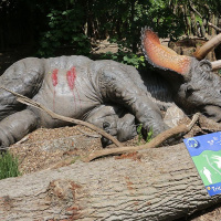 Les Dinosaures investissent le Zoo de Thoiry