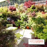 Jardins, jardin 2015 aux Tuileries