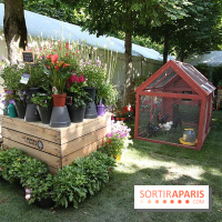 Jardins, jardin 2015 aux Tuileries