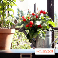 Le potager d'Aucy 2015 à la Serre de la Rotonde