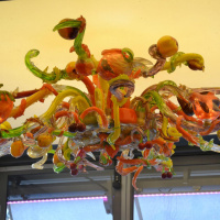 Le Paradis du Fruit by Starck