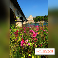 Petite Fleur Folie, le jardin éphémère sur les Berges