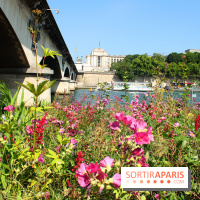 Petite Fleur Folie, le jardin éphémère sur les Berges