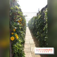 Le Paris sous les fraises des Galeries Lafayette