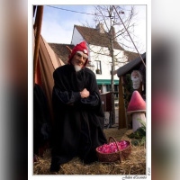 Le Marché Médiéval de Noël à Provins