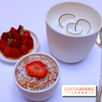 La Cour Jardin du Plaza by Fumiko Kono et Mathieu Emeraud