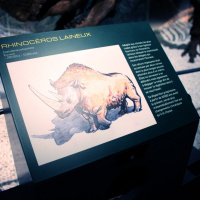 Préhistoire(s), l'enquête