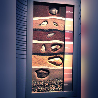 Préhistoire(s), l'enquête