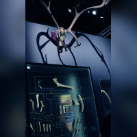 Préhistoire(s), l'enquête