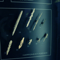 Préhistoire(s), l'enquête