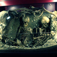 Préhistoire(s), l'enquête