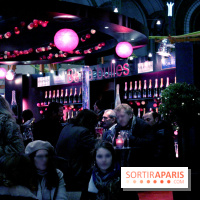 Jours de Fête 2011 au Grand Palais